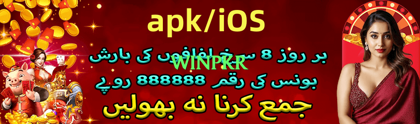 winpkr v5.1.6 Screenshot 4